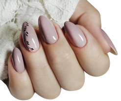 Alternative view of CLARESA - NUDE 5ml n.117