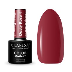 CLARESA - DUSTY ROSE 5ml n.04