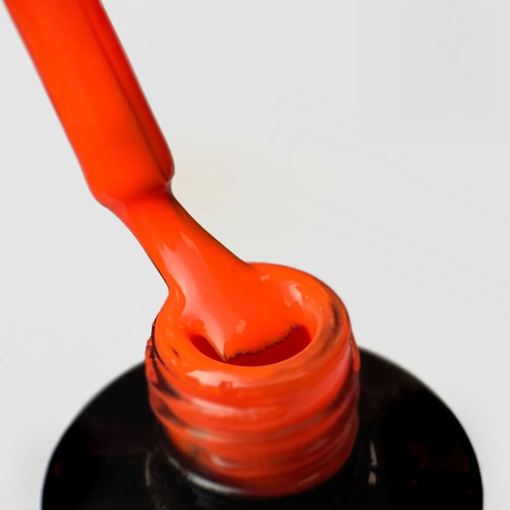 PALU - HAVANA 11gr - NE1 - immagine 2