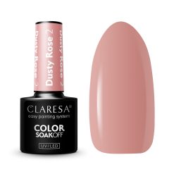 CLARESA - DUSTY ROSE 5ml n.02
