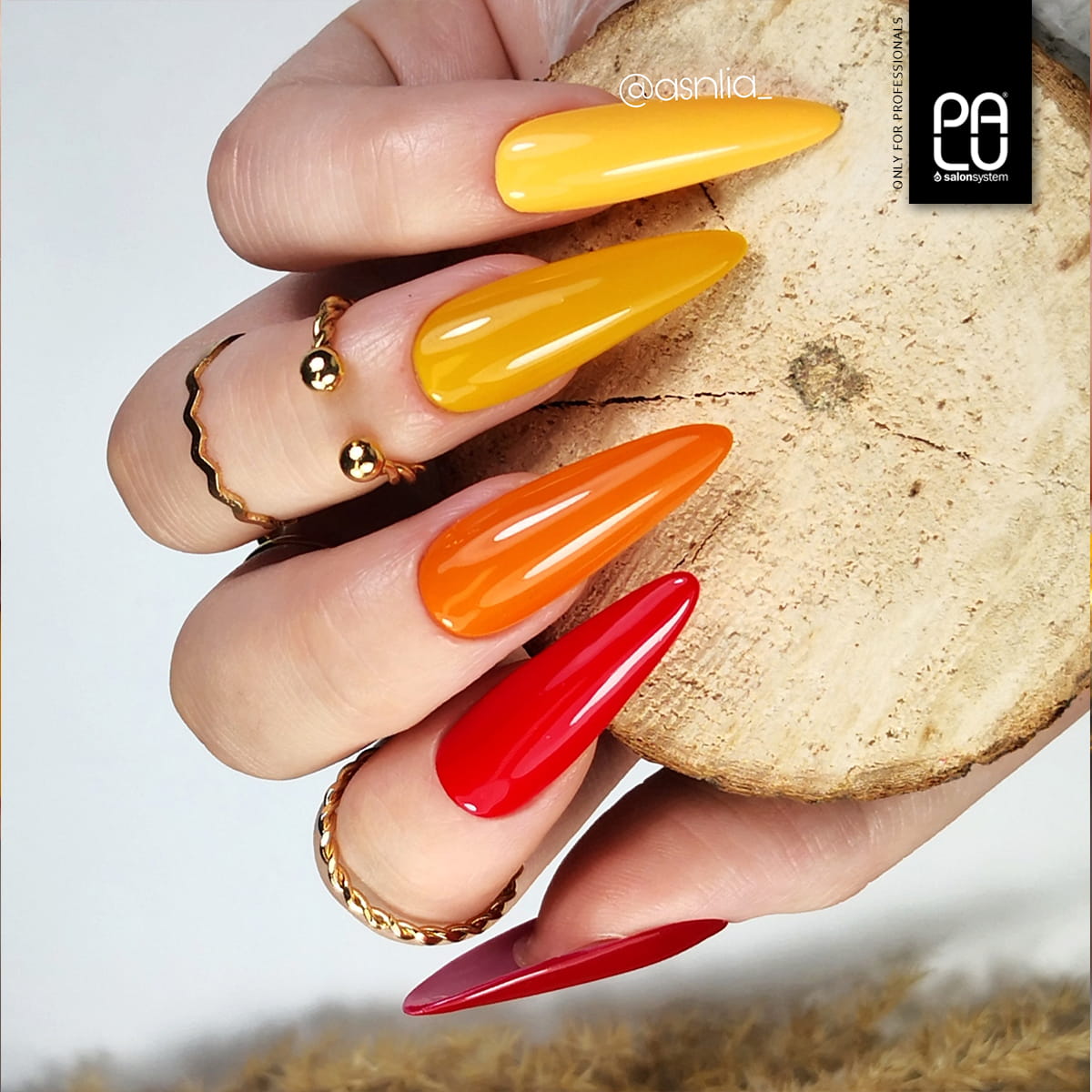 PALU - AMSTERDAM 11ml - AM2 - immagine 3