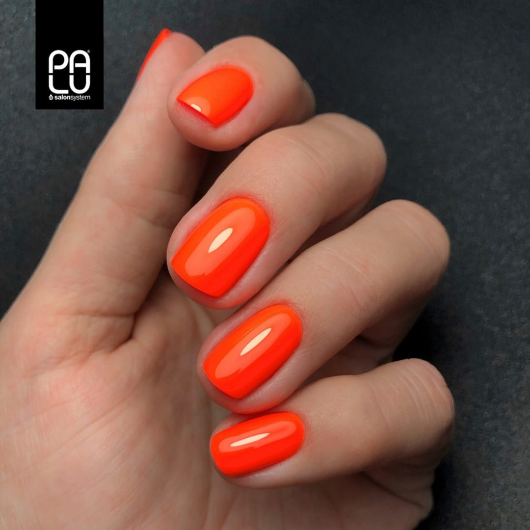 PALU - HAVANA 11gr - NE1 - immagine 3