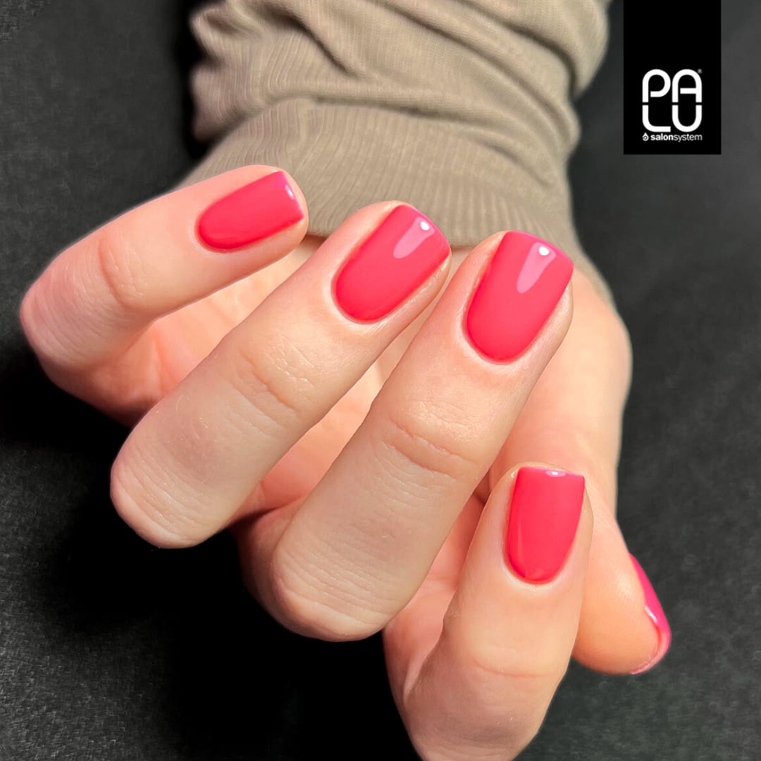 PALU - WARSAW 11ml - P9 - immagine 2