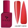 DNKa' - Color Gel n.0077 - 12ml
