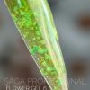 SAGA Professional - FLOWER GEL n.06 - 5gr